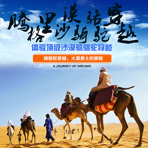 一站式旅行服务 从票务到沙漠探险的专业体验